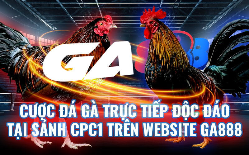 Cược Đá Gà Trực Tiếp Độc Đáo Tại Sảnh CPC1 Trên Website GA888