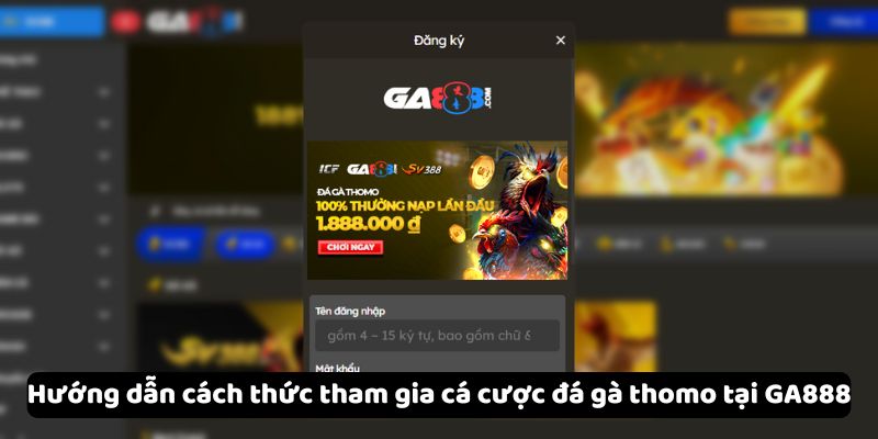 Hướng dẫn cách thức tham gia cá cược đá gà thomo tại GA888