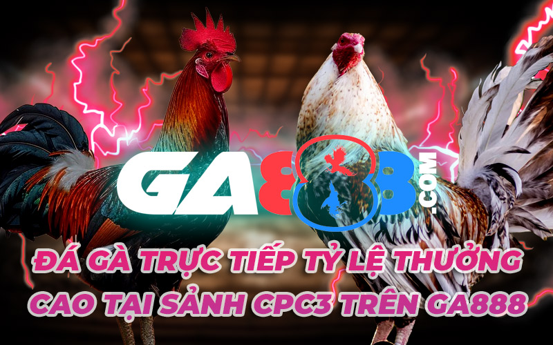 Đá Gà Trực Tiếp Tỷ Lệ Thưởng Cao Tại Sảnh CPC3 Trên GA888