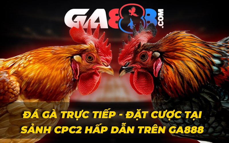 Đá Gà Trực Tiếp – Đặt Cược Tại Sảnh CPC2 Hấp Dẫn Trên GA888