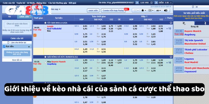 Giới thiệu về kèo nhà cái của sảnh cá cược thể thao sbo