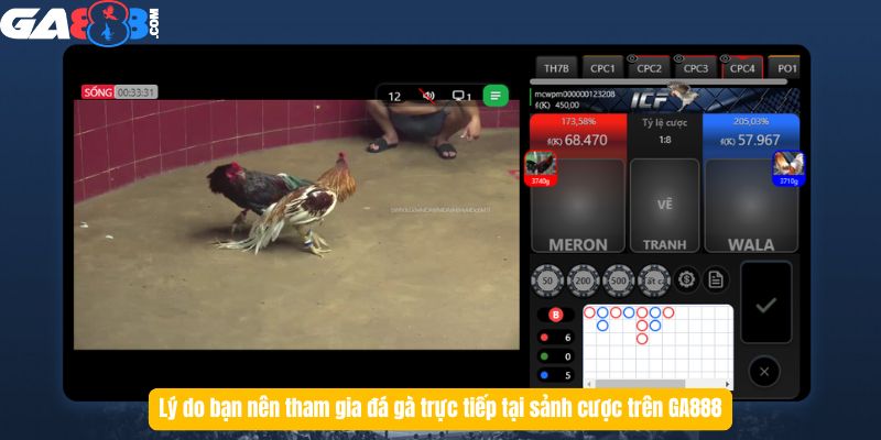 Lý do bạn nên tham gia đá gà trực tiếp tại sảnh cược trên GA888