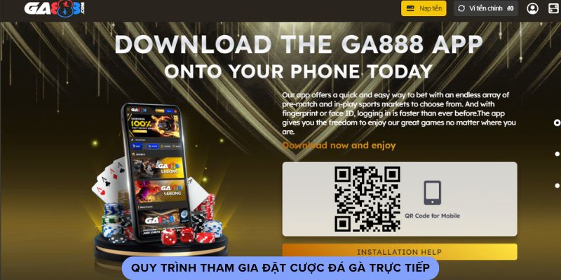 Quy trình tham gia đặt cược đá gà trực tiếp