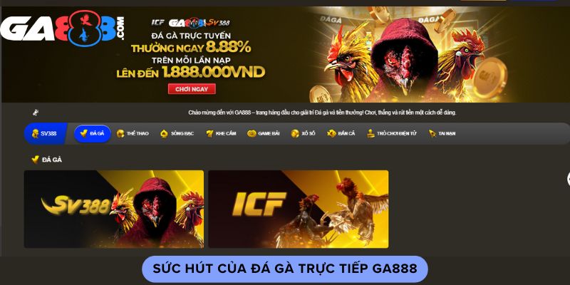 Sức hút của đá gà trực tiếp GA888